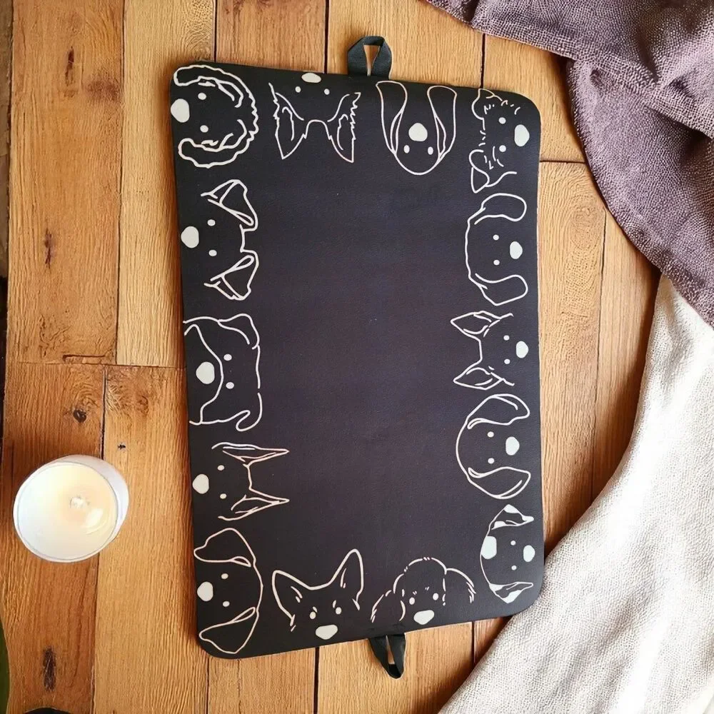 Pet Feeding Mat, Absorbent Dog and Cat Mat (13.5